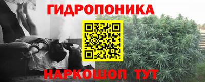 гидра Бузулук